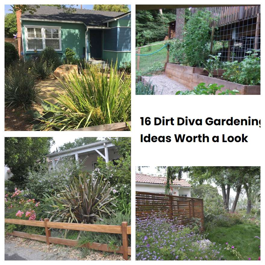 16 Dirt Diva Gardening Ideas Worth a Look