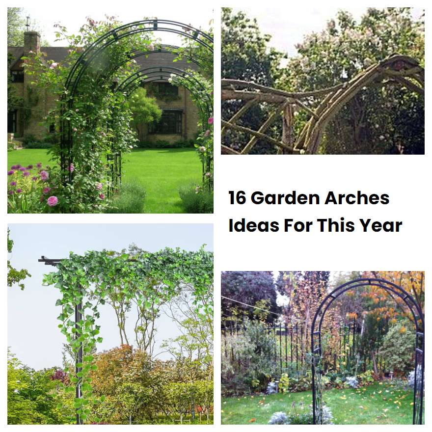 16 Garden Arches Ideas For This Year
