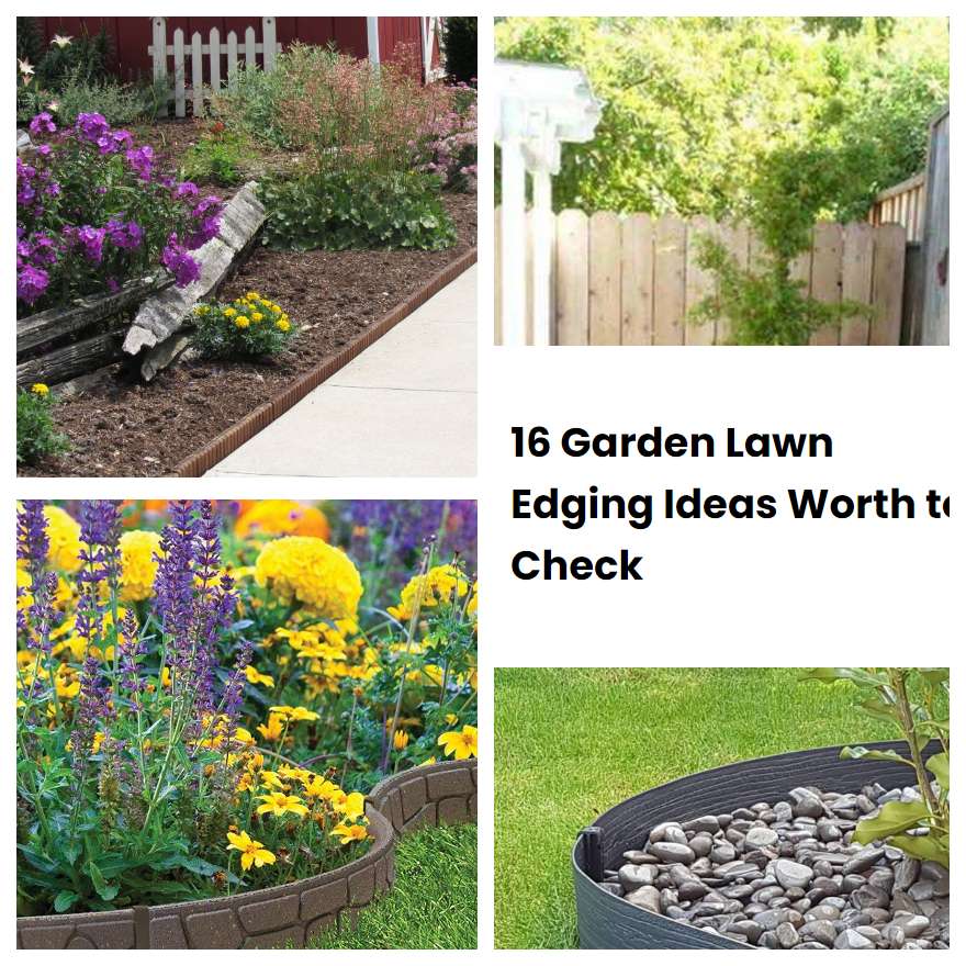 16 Garden Lawn Edging Ideas Worth to Check SharonSable