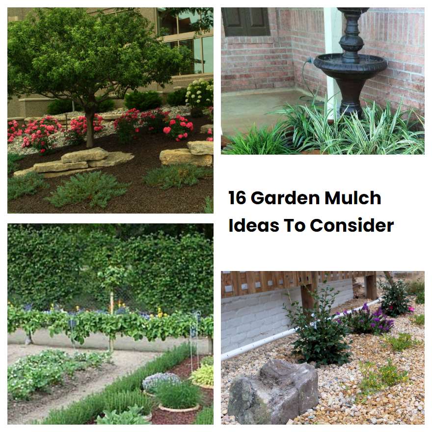 16 Garden Mulch Ideas To Consider SharonSable
