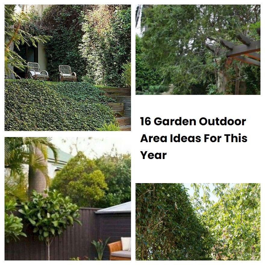 16 Garden Outdoor Area Ideas For This Year