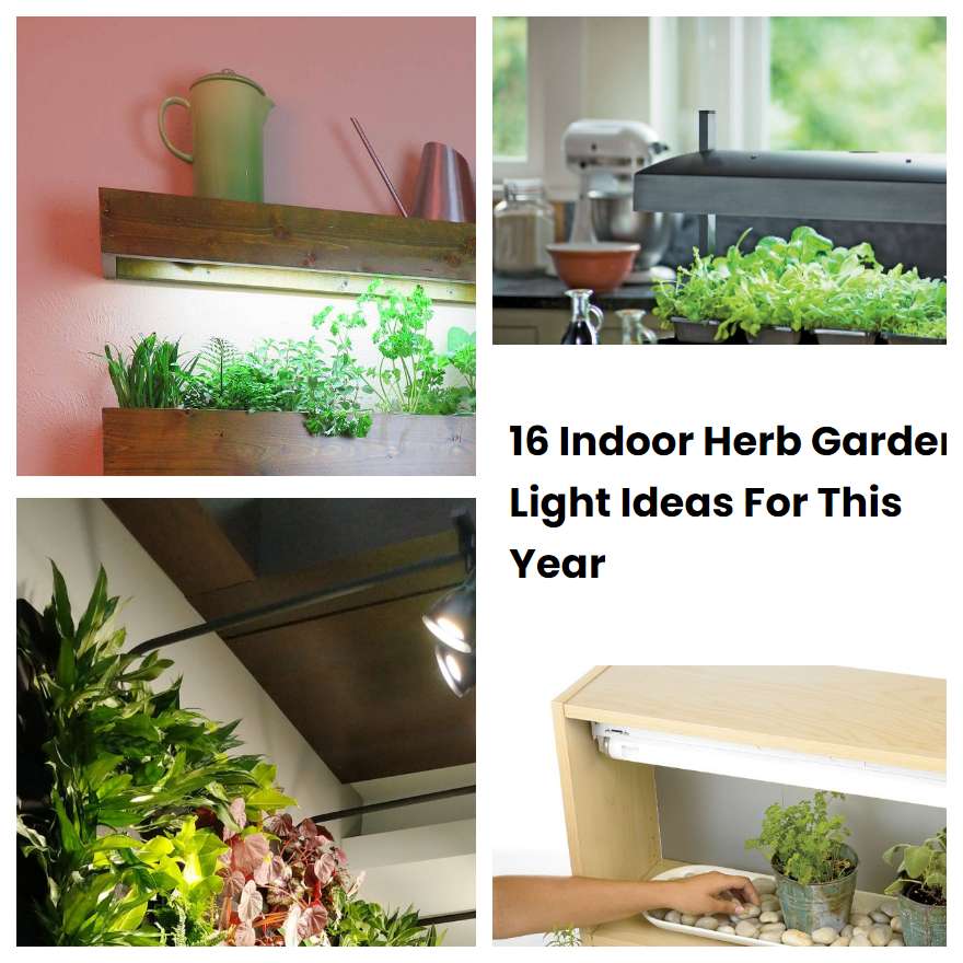 16 Indoor Herb Garden Light Ideas For This Year
