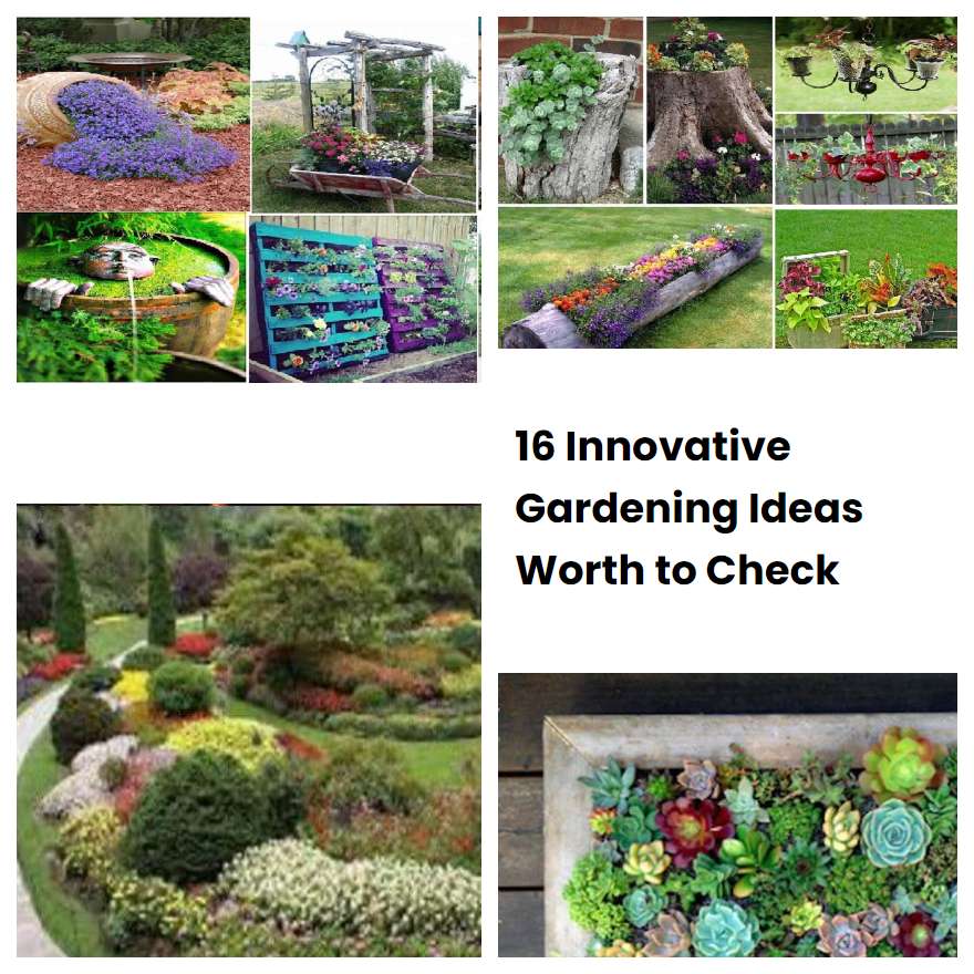 16 Innovative Gardening Ideas Worth to Check SharonSable