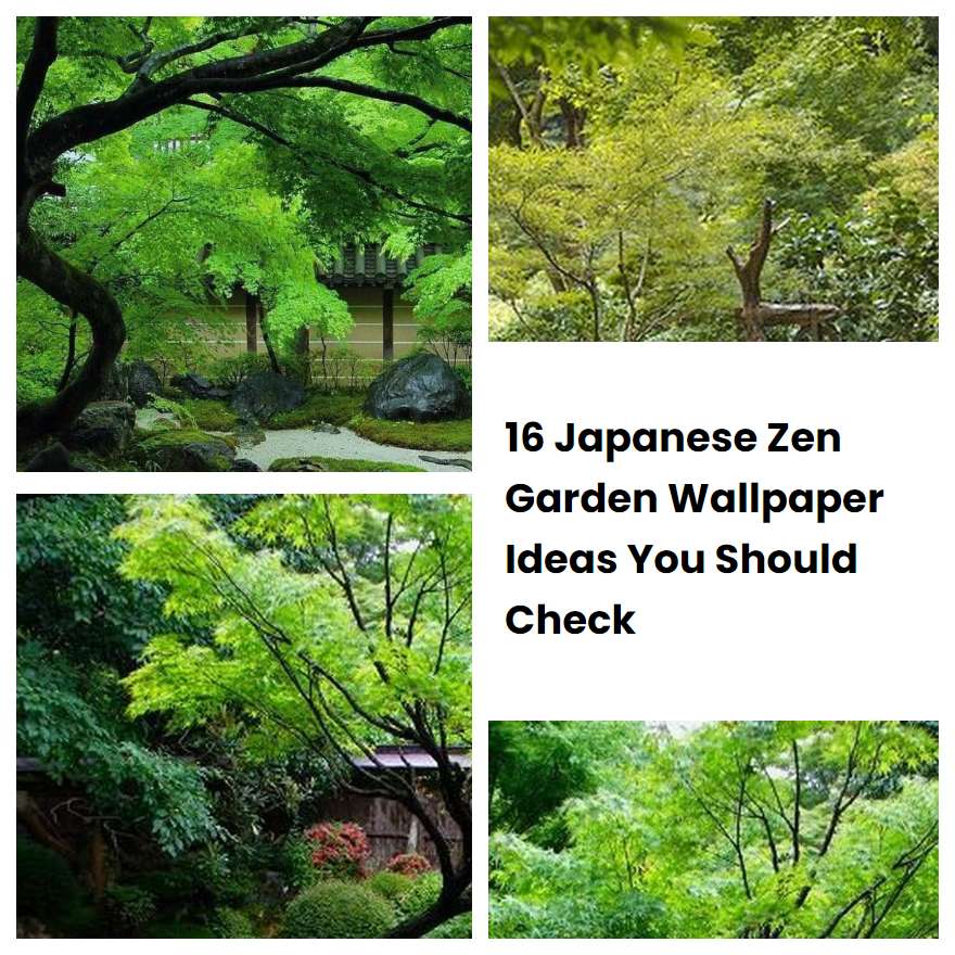 16 Japanese Zen Garden Wallpaper Ideas You Should Check