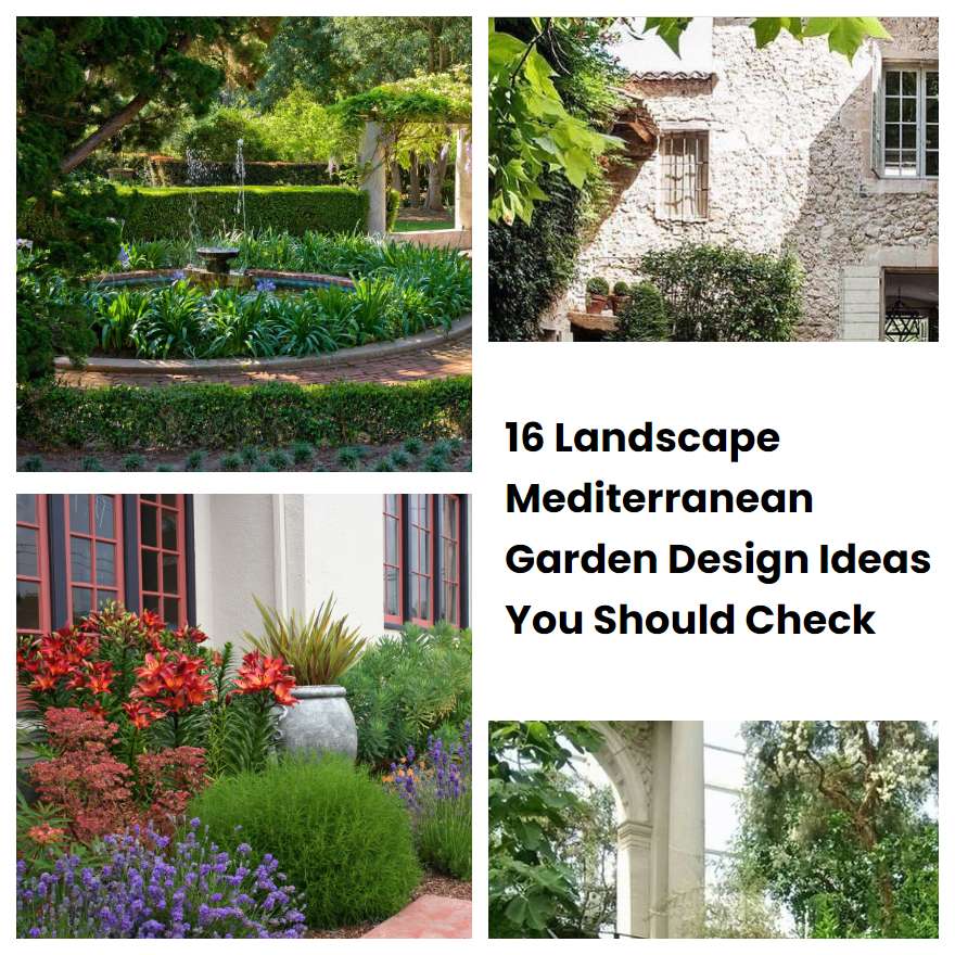 16 Landscape Mediterranean Garden Design Ideas You Should Check