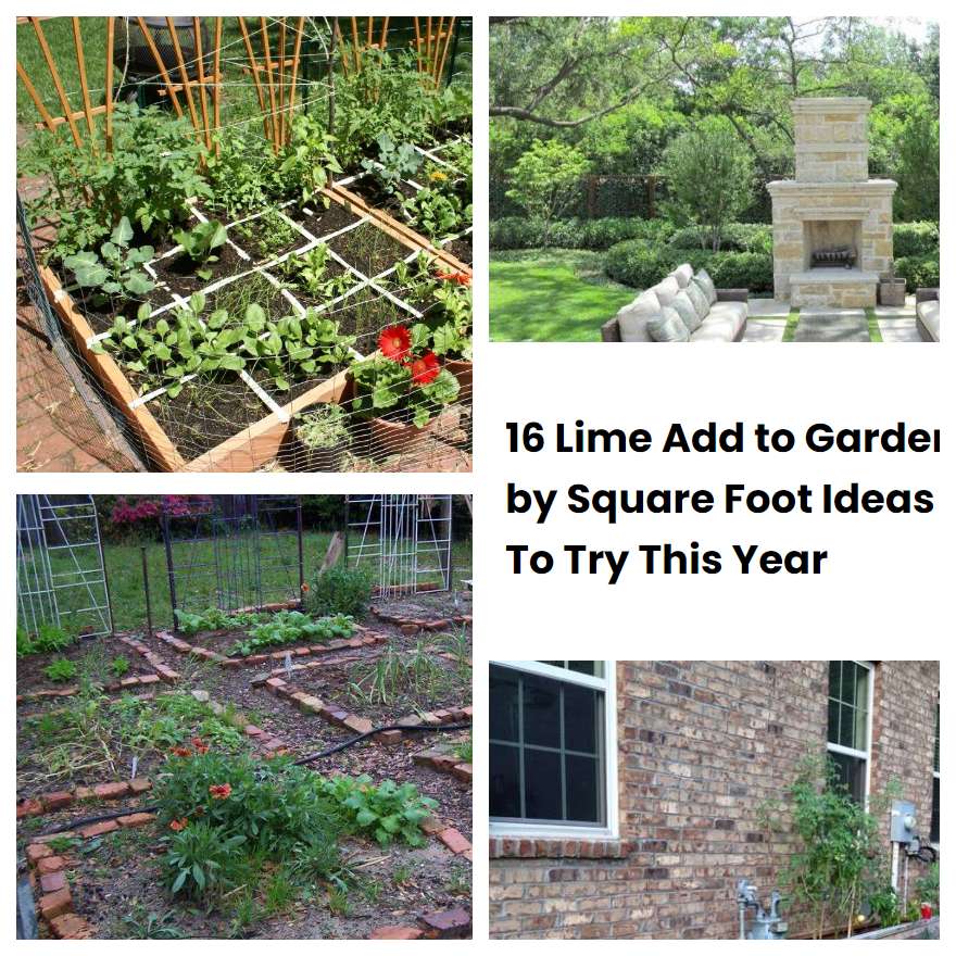 16 Lime Add to Garden by Square Foot Ideas To Try This Year