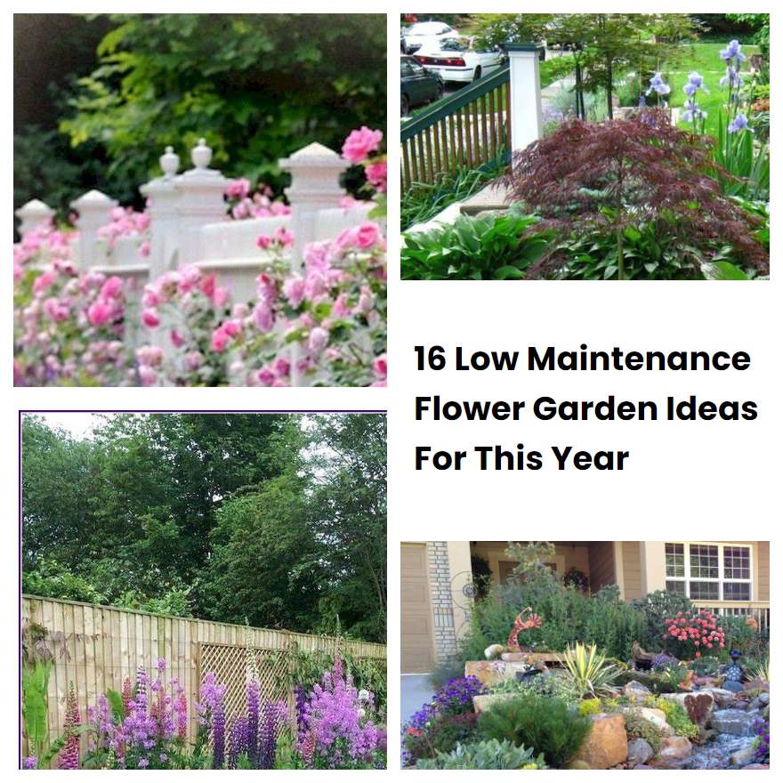 16 Low Maintenance Flower Garden Ideas For This Year SharonSable