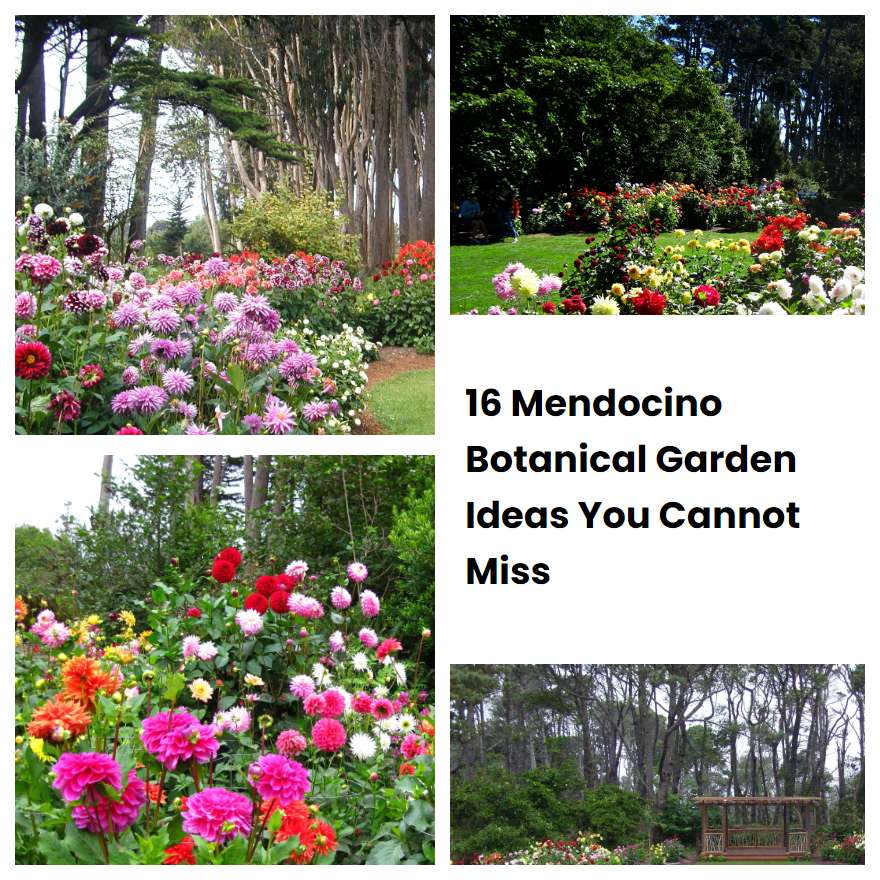 16 Mendocino Botanical Garden Ideas You Cannot Miss