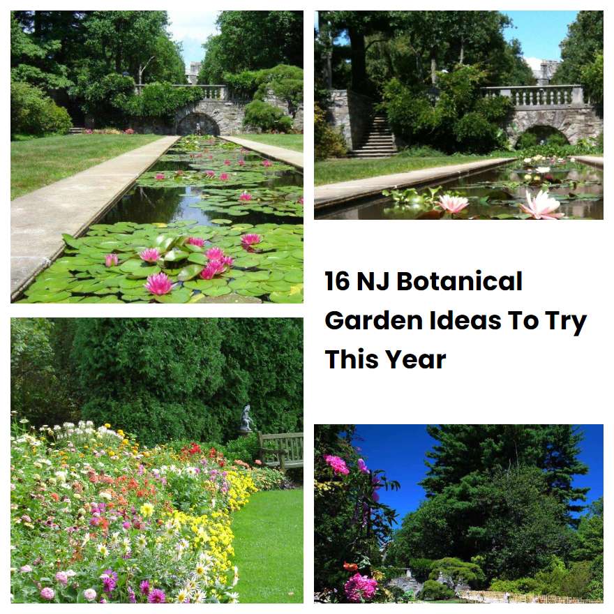 16 NJ Botanical Garden Ideas To Try This Year