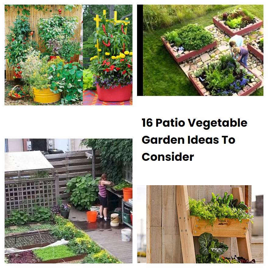 16 Patio Vegetable Garden Ideas To Consider
