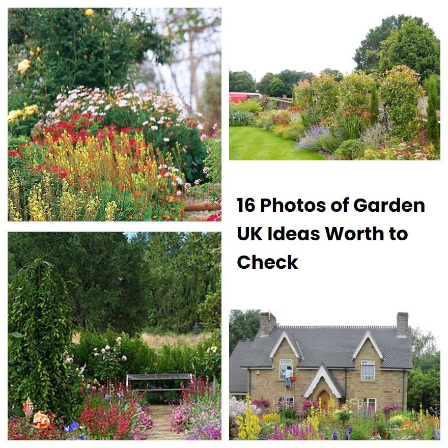 16 Photos of Garden UK Ideas Worth to Check