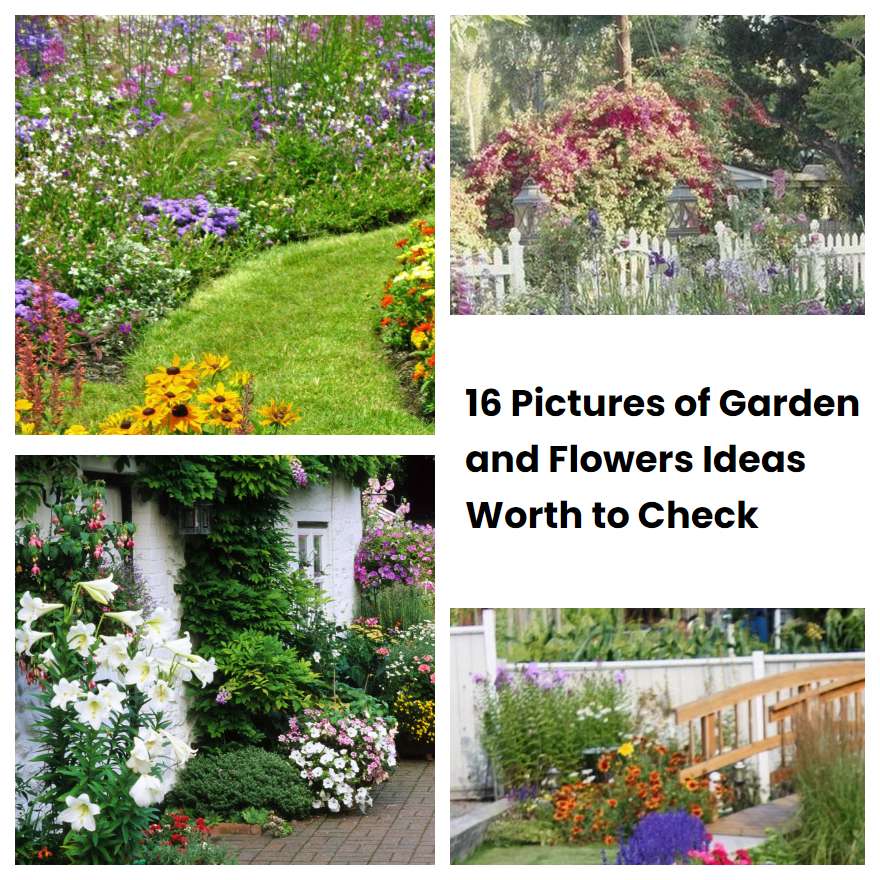 16 Pictures of Garden and Flowers Ideas Worth to Check