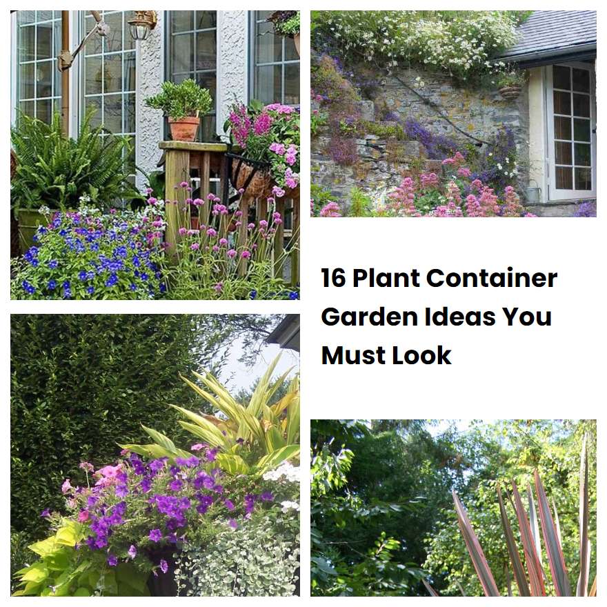 16 Plant Container Garden Ideas You Must Look