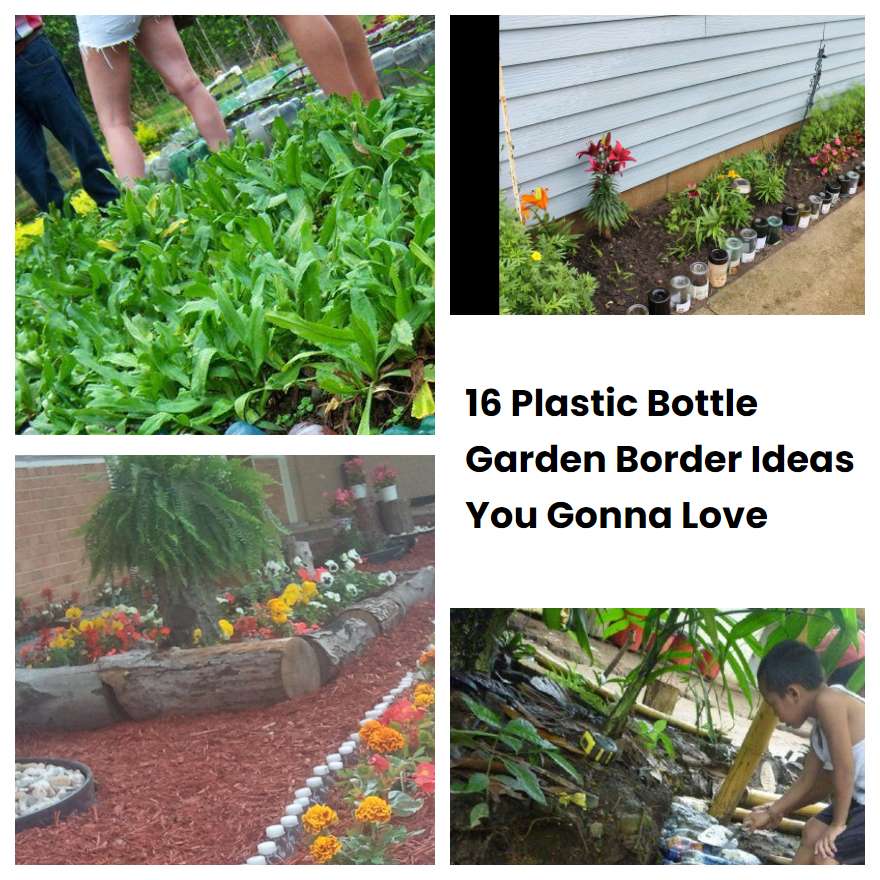 16 Plastic Bottle Garden Border Ideas You Gonna Love SharonSable