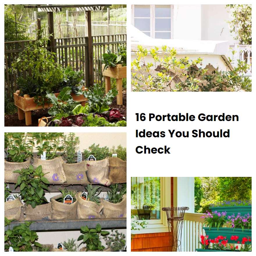 16 Portable Garden Ideas You Should Check