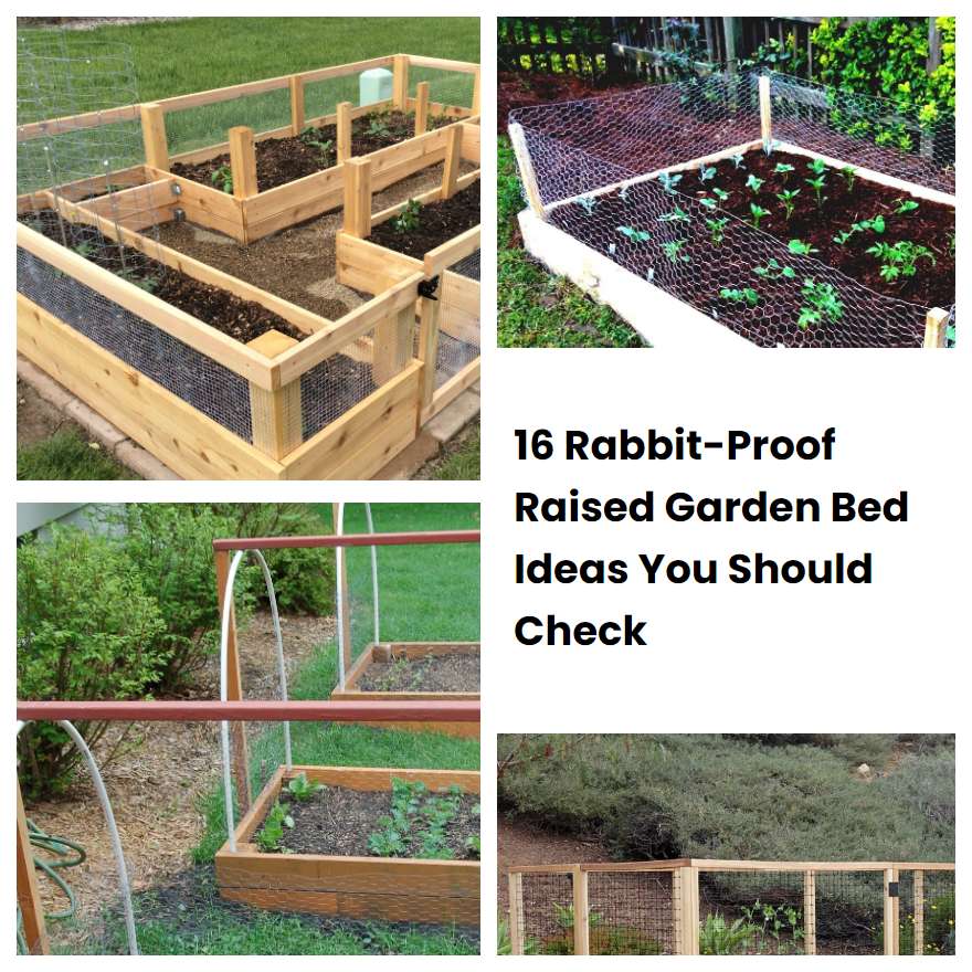 16 RabbitProof Raised Garden Bed Ideas You Should Check SharonSable
