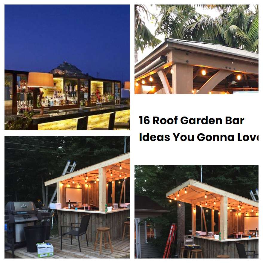 16 Roof Garden Bar Ideas You Gonna Love
