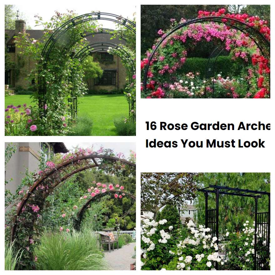 16 Rose Garden Arche Ideas You Must Look