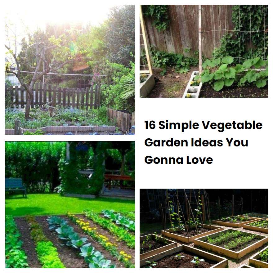 16 Simple Vegetable Garden Ideas You Gonna Love SharonSable