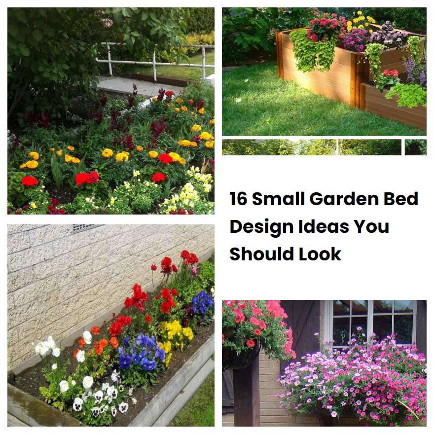 16 Small Garden Bed Design Ideas You Should Look SharonSable