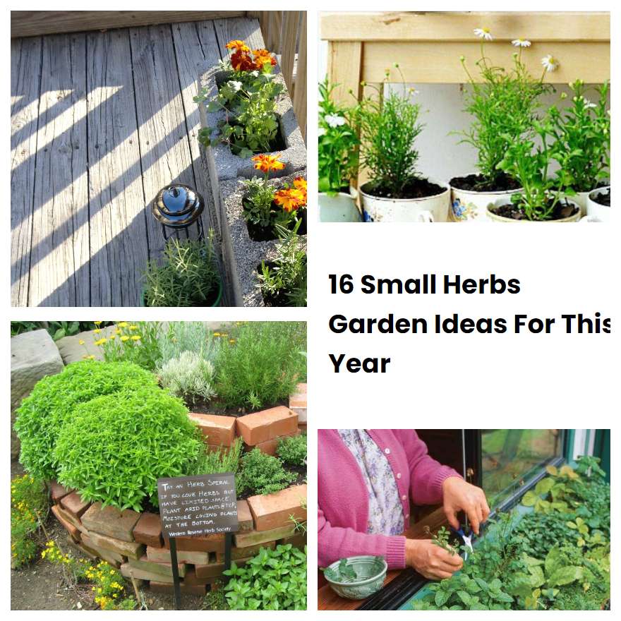 16 Small Herbs Garden Ideas For This Year SharonSable