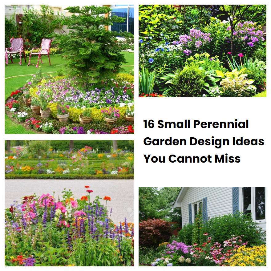 16 Small Perennial Garden Design Ideas You Cannot Miss