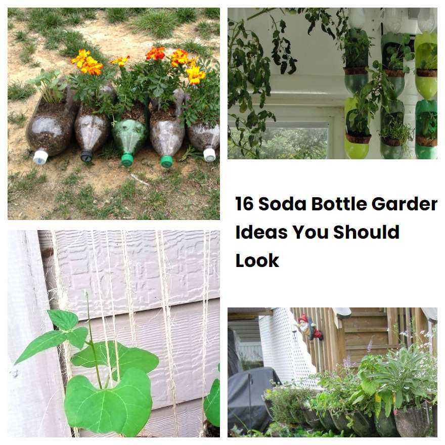 16 Soda Bottle Garden Ideas You Should Look SharonSable