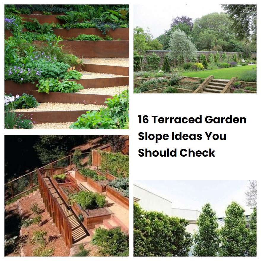 16 Terraced Garden Slope Ideas You Should Check