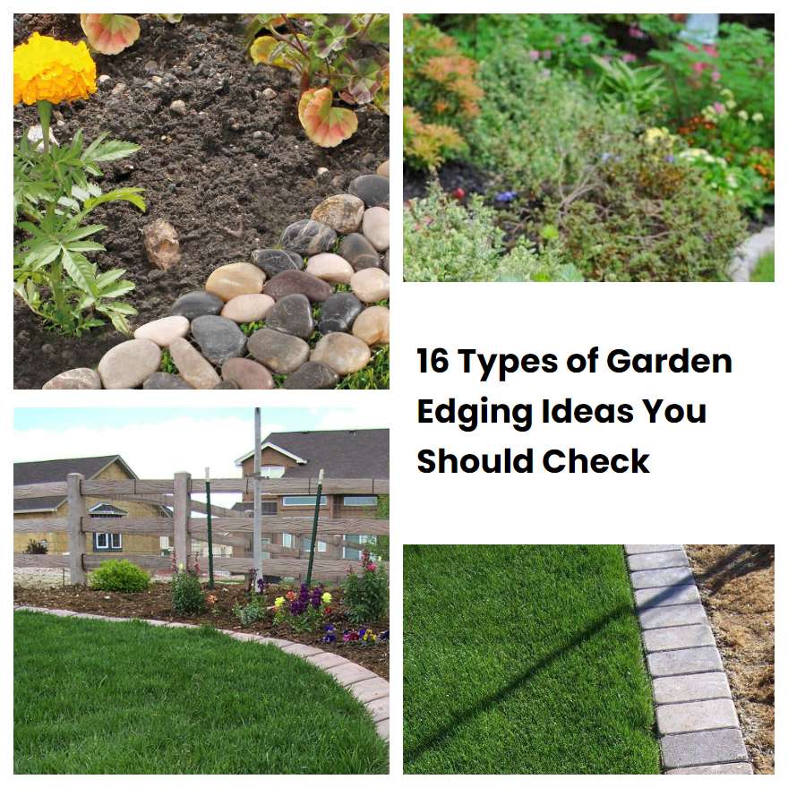 16 Types of Garden Edging Ideas You Should Check SharonSable