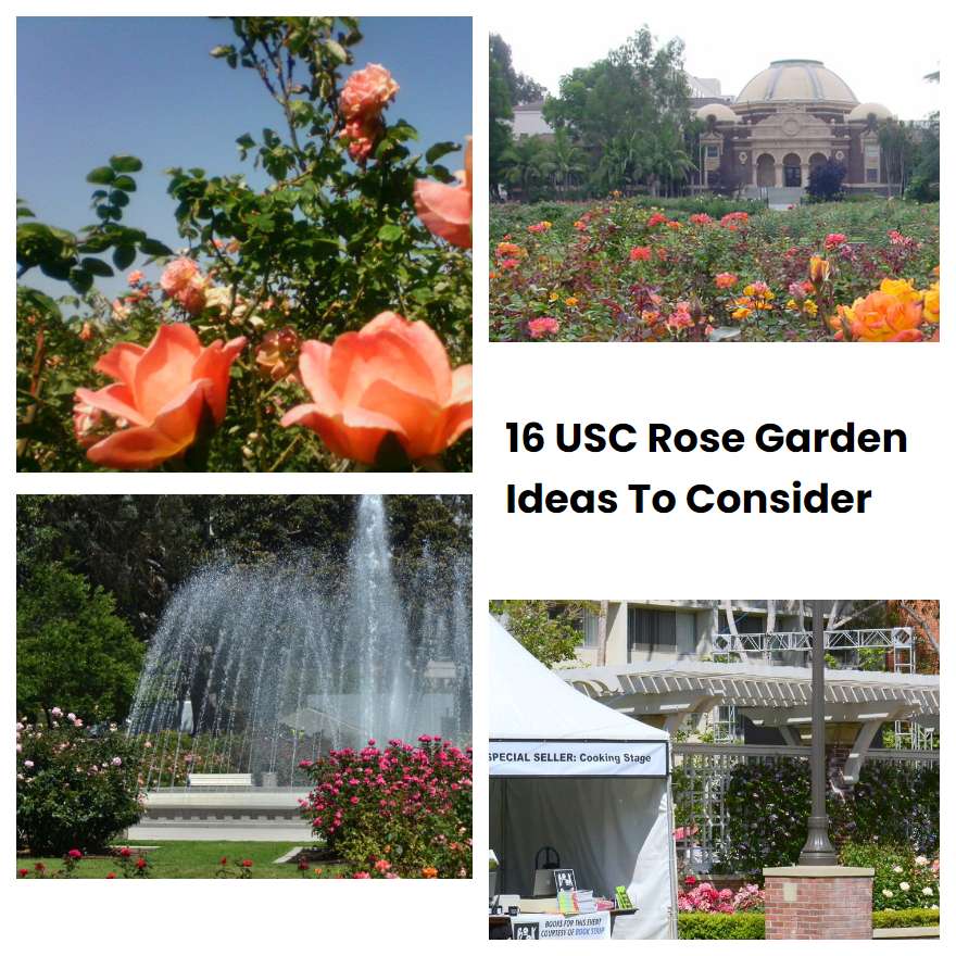 16 USC Rose Garden Ideas To Consider
