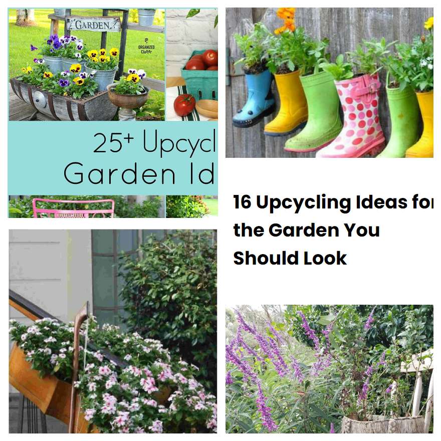 16 Upcycling Ideas for the Garden You Should Look