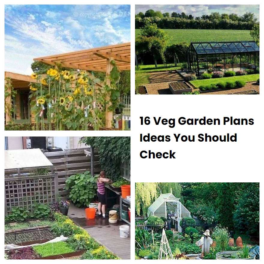 16 Veg Garden Plans Ideas You Should Check