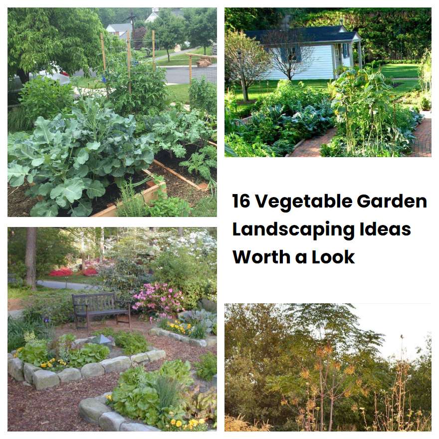 16 Vegetable Garden Landscaping Ideas Worth a Look SharonSable