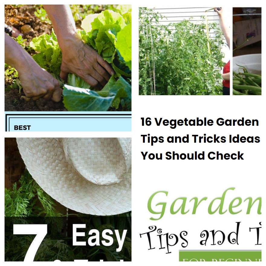 16 Vegetable Garden Tips and Tricks Ideas You Should Check