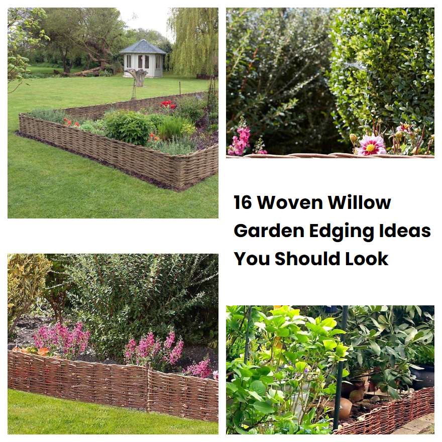 16 Woven Willow Garden Edging Ideas You Should Look SharonSable
