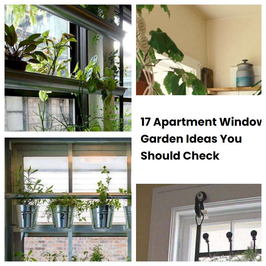 17 Apartment Window Garden Ideas You Should Check SharonSable