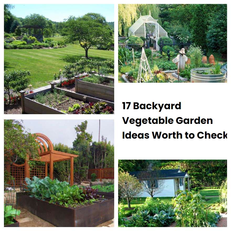 17 Backyard Vegetable Garden Ideas Worth to Check SharonSable