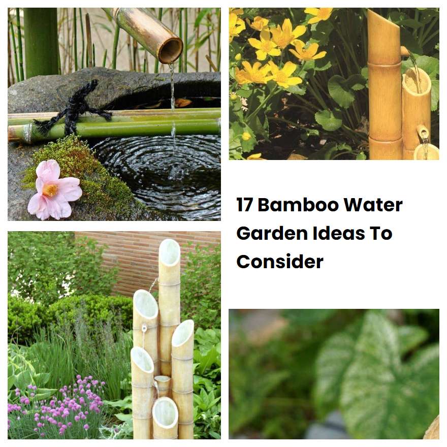 17 Bamboo Water Garden Ideas To Consider SharonSable
