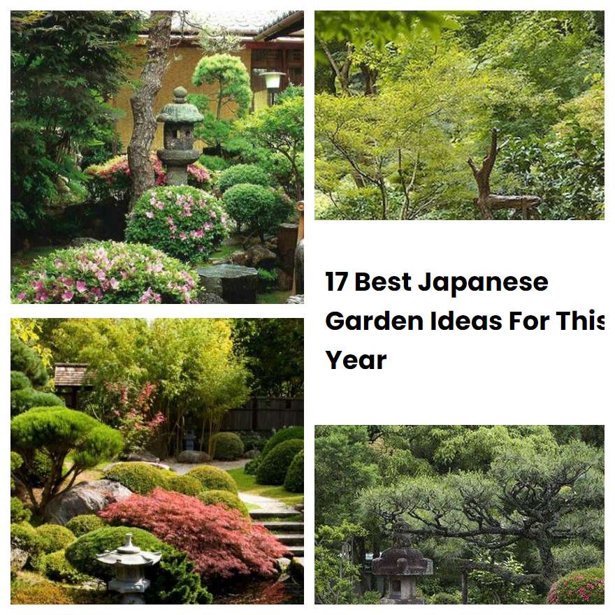 17 Best Japanese Garden Ideas For This Year SharonSable