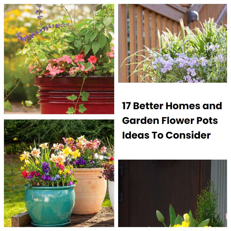 17 Better Homes and Garden Flower Pots Ideas To Consider