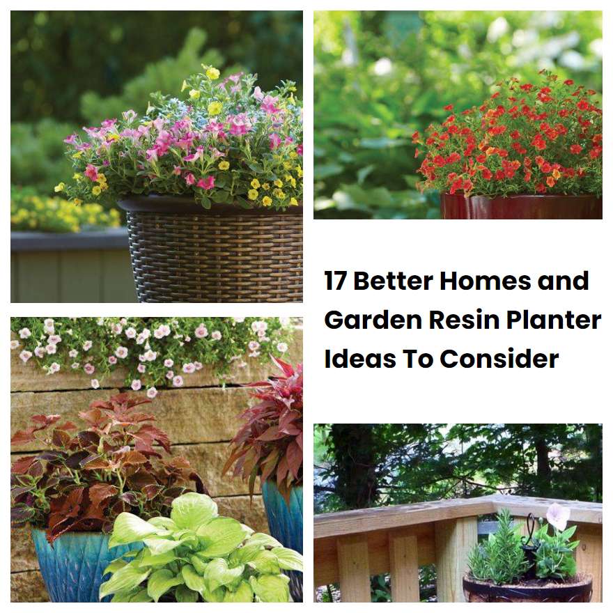 17 Better Homes and Garden Resin Planters Ideas To Consider SharonSable