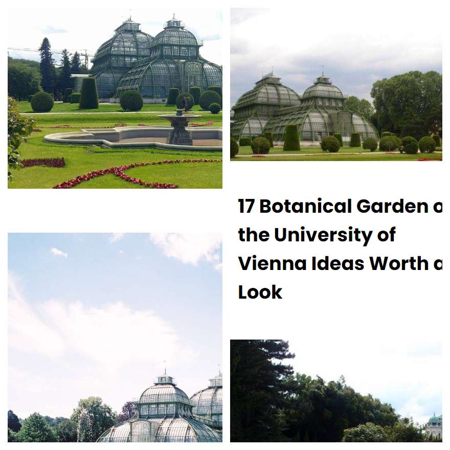 17 Botanical Garden of the University of Vienna Ideas Worth a Look