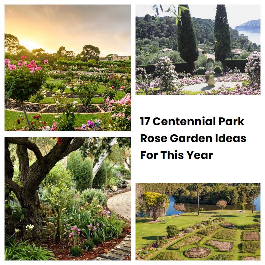 17 Centennial Park Rose Garden Ideas For This Year