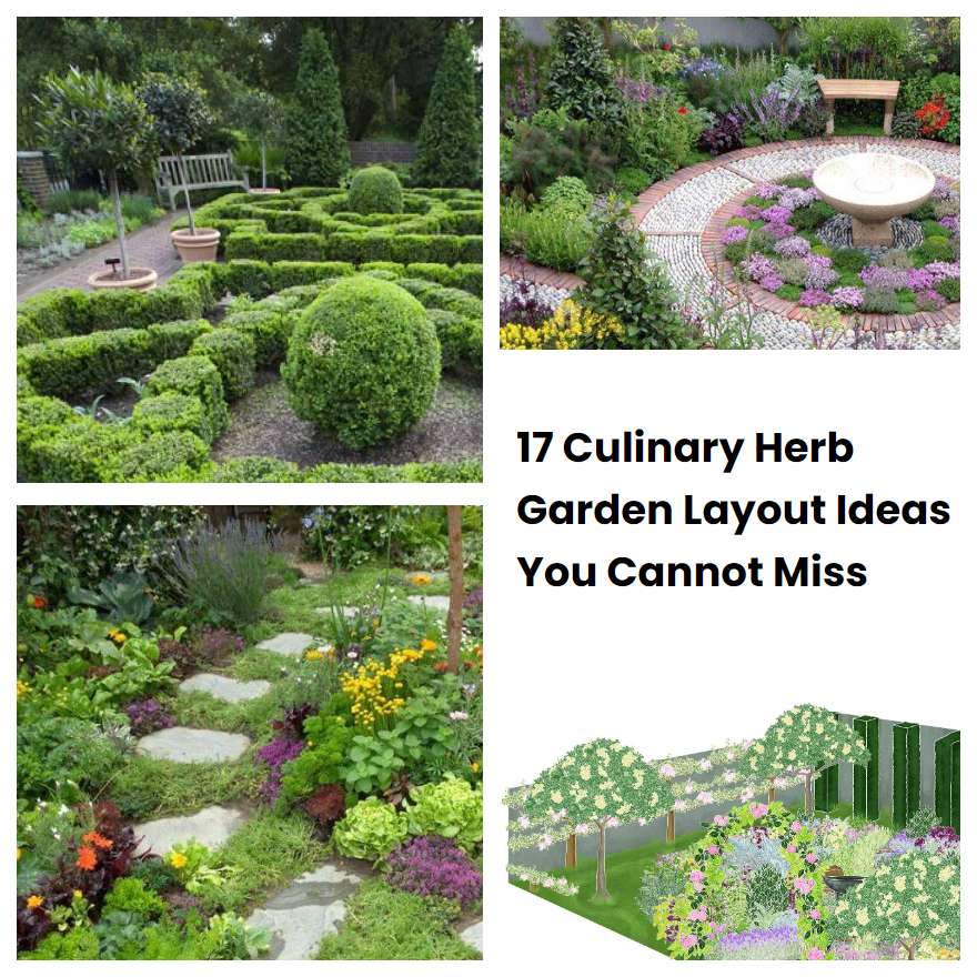 17 Culinary Herb Garden Layout Ideas You Cannot Miss SharonSable