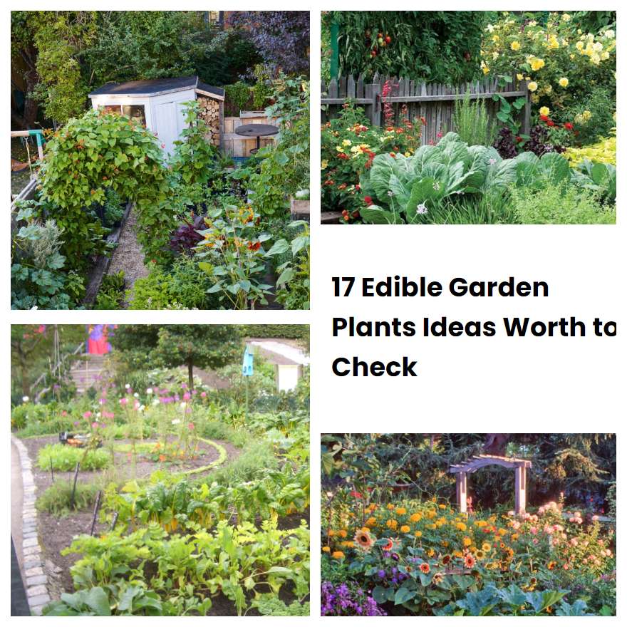 17 Edible Garden Plants Ideas Worth to Check
