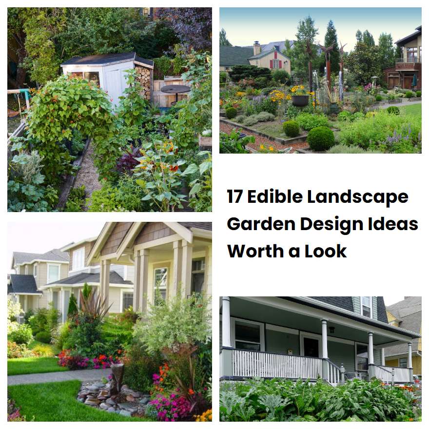 17 Edible Landscape Garden Design Ideas Worth a Look