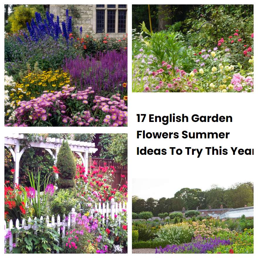 17 English Garden Flowers Summer Ideas To Try This Year