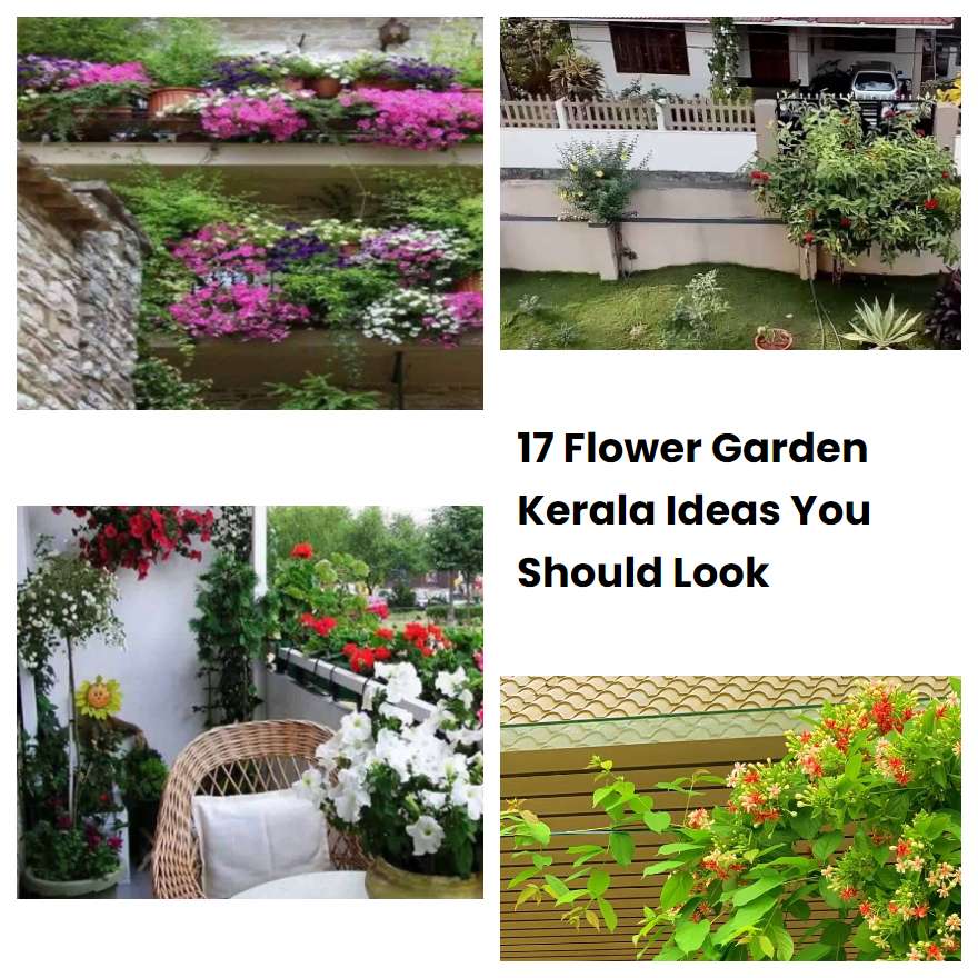 17 Flower Garden Kerala Ideas You Should Look