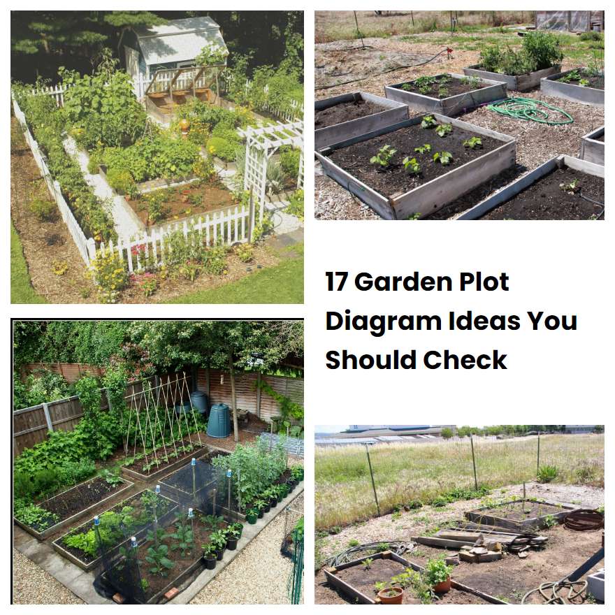 17 Garden Plot Diagram Ideas You Should Check