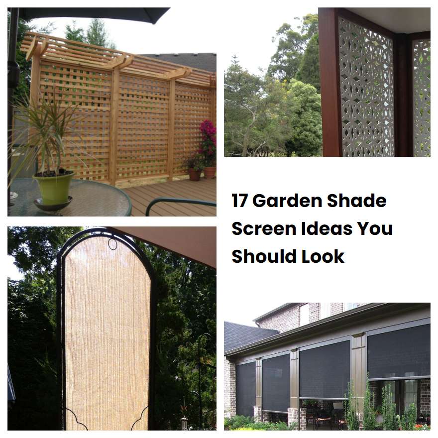 17 Garden Shade Screen Ideas You Should Look